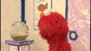 Elmo's World(Eng Dub) - Scene 19(03-03-12)