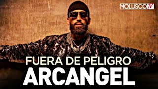 ¿Arcangel Fuera De Peligro?🙏🏼Todos Los Detalles De Su Diagnóstico En Este Video