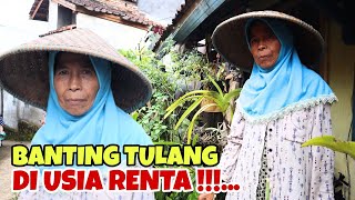 Kisah Inspiratif Nenek Pekerja Keras Berjuang Mencari Nafkah Di Pedesaan Sunda I BERBAGI ITU INDAH