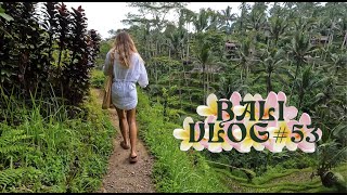 BALI vlog#53