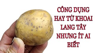 CÔNG DỤNG HAY VÔ CÙNG THẦN KỲ TỪ KHOAI TÂY NHƯNG ÍT AI NGỜ TỚI