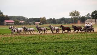 Zatrzymamy COVID- szczepimy się!