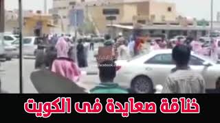 شاهد خناقة صعايدة فى الكويت