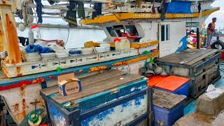 Fishermen Unloading Fish from Ships ❗  Lampulo Ocean Fishing Port ❗ Biggest Fish Auction Market Port