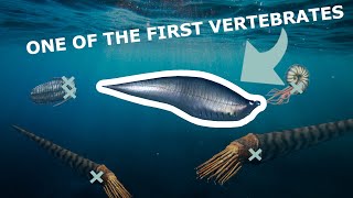 The birth of vertebrates...and the very first extinction event...