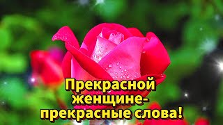 💝ПРЕКРАСНОЙ ЖЕНЩИНЕ - ПРЕКРАСНЫЕ СЛОВА! 💝КРАСИВЫЕ ЦВЕТЫ ДЛЯ САМОЙ ЛУЧШЕЙ! 💝🌹🌹🌹🌹🌹🌹🌹🌹🌹🌹🌹🌹🌹🌹🌹🌹🌹🌹🌹🌹🌹🌹🌹🌹🌹