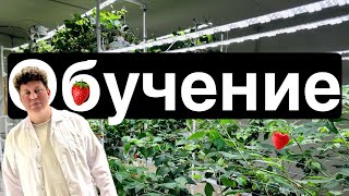 Обучение Сити фермеров