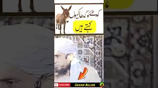 گدھے کو گدھا کیوں کہتے ہیں ۔ مفتی طارق مسعود صاحب