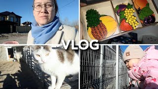 VLOG 14: Мотивация на уборку и день в зоопарке