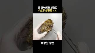 굴에서 발견된 수백 마리의 생물들 ㄷㄷ  #shorts