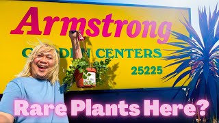 I Heard Armstrong Started Carrying *RaRe* Plants