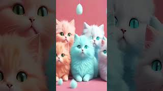 Cat 🐈 #shorts#trending #youtubeshorts #ytshort #turkey #trendingshorts #shortsfeed #turkishravivlog