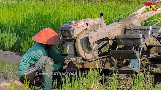 Traktor Tiba-Tiba Trouble Si Bocil Bergegas Jadi Mekanik Dadakan