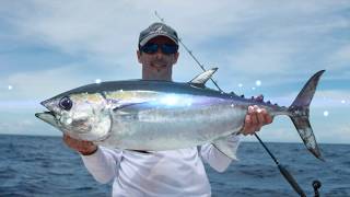 Big tuna on light tackle.