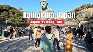 Kamakura Daibutsu Walking Tour -4K JAPAN- 2024 New Year's Day (Kamkura Great Buddha)