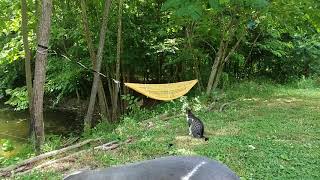 Hank on teeter totter