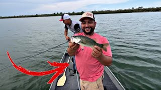 Pesca de lobina| REGRESAMOS!!