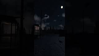 POV : you're walking in tarkov at 3am