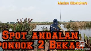 Spot pondok 2 Bekasi... jaernya babon semua 👍👍