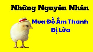 Tại Sao Người Mua Bị Lừa. Con Gà và Kẻ Lùa Gà, Thực Sự nguyên nhân nằm ở đâu ?