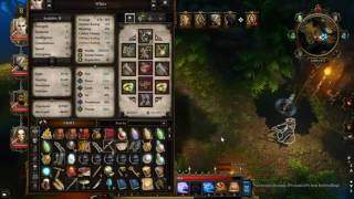 Divinity Original Sin EE: Mini Boss; Vaelanna