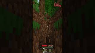 Minecraft PC #Short 1