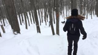 Mark Snowshoeing at Osler Bluff