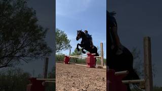 Mini volg #barrelracing #horsesport#equestrian #jumping #equine #horse