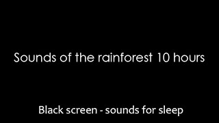 Sounds of the rainforest 10 o'clock