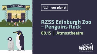 RZSS Edinburgh Zoo – Penguins Rock