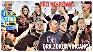 🤩Roki & Ork.Zokija Vincanca🤩BRZI MIX PESAMA (Visnjica 2 dan svadbe)