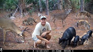 Tim Harrell - Browning Trail Camera Pickup