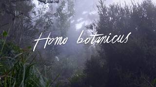 Homo Botanicus de Guillermo Quintero (Tráiler oficial)