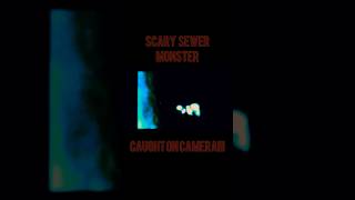 SCARY MONSTER IN SEWER (Caught On Camera!!!) REAL