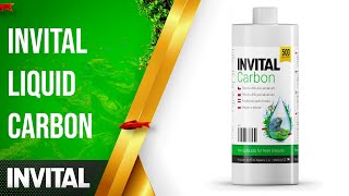 Stosowanie INVITAL Carbon przeciw glonom | INVITAL