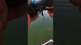 Largemouth BASS bites right at boat! 😲😲💥 #bassfishing #youtube #fishing #bass #youtubeshorts #shorts