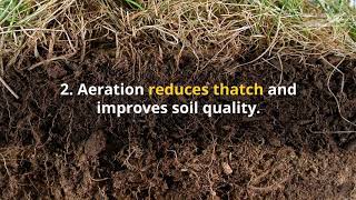 7 Benefits of Aeration & Seeding