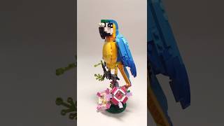 Assembling Lego Exotic Parrot #shorts