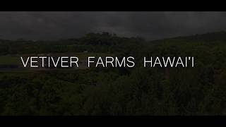 VETIVER FARMS HAWAI'I