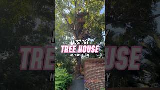 Must Try Tree House in Pondicherry 🌳🛖 #tamil #shorts #pondicherry #trending #treehouse #vacation