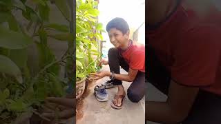 Man VS Wild mini version#Episode 1#shorts