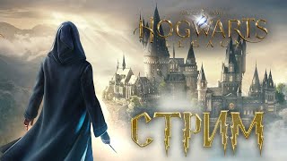 Hogwarts Legacy Прохождение СТРИМ