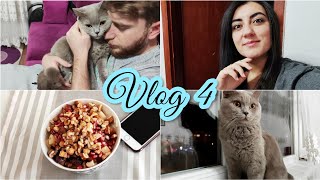 BOL SOHBETLİ MAKYAJ YAPTIM💄| EV YAPIMI MEYVELİ YOĞURT 🍧 PABLO BİZİ ÇOK ÖZLEMİŞ 😔| Vlog 4