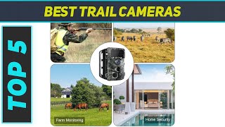 Top 5 Best Trail Cameras in 2023