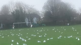 BIRDS ENJOYED RAIN || HEAVEY RAIN IN LONDON