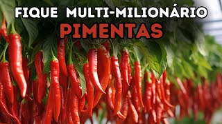 Fique Multimilionário: Plantando, Beneficiando e Vendendo Pimentas!