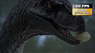 Jurassic Park III: Velociraptor Squad Final Scene [1080p + 60 FPS]