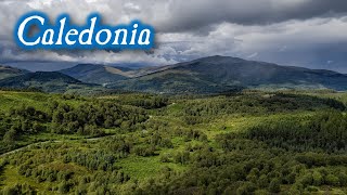 Caledonia - James Brennan (Dougie MacLean cover)