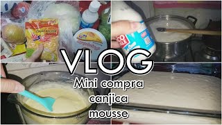 MINI COMPRA PRA FIM DE SEMANA | FIZ CANJICA E MOUSSE DE MANGA | MARIDO VOLTA DO SÍTIO AMANHÃ