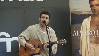 showcase Álvaro de luna - morena (firma Sevilla)